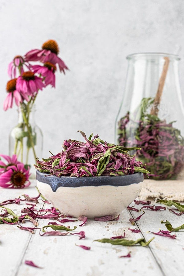 Echinacea